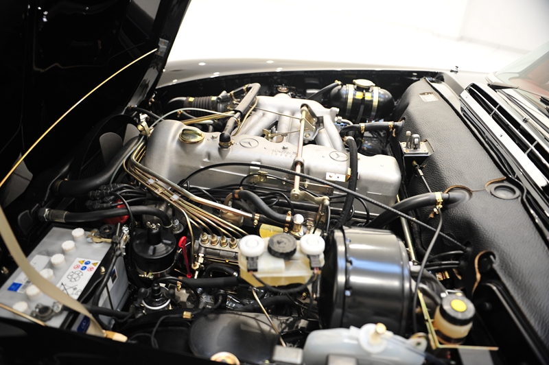 b13aa191 (Copy).jpg