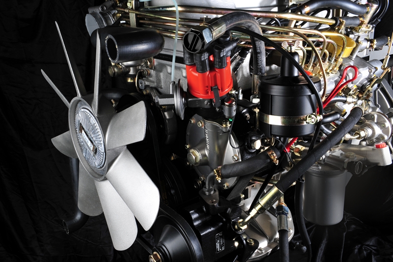 b13aa193 (Copy).jpg