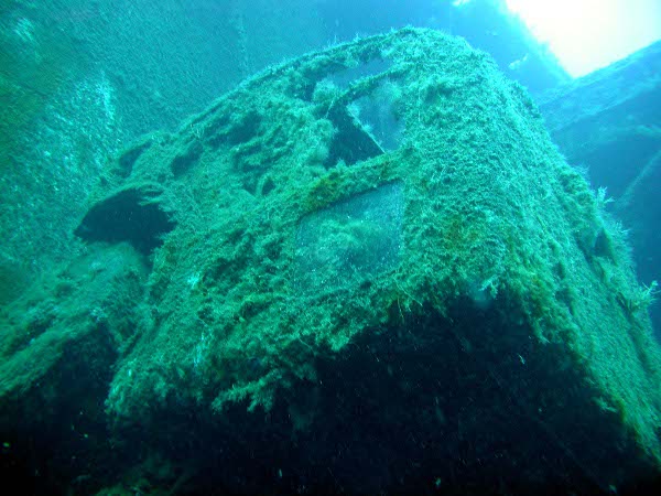 P2.JPG