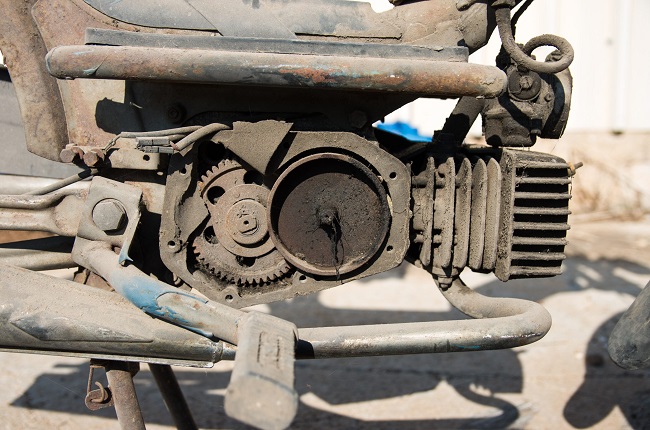 K5II5048.jpg