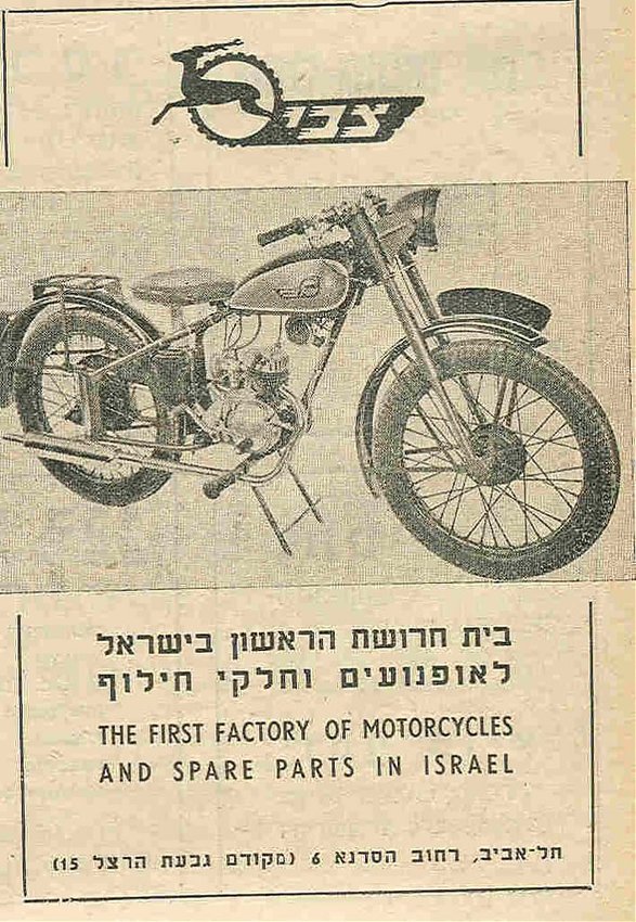 צבי.jpg