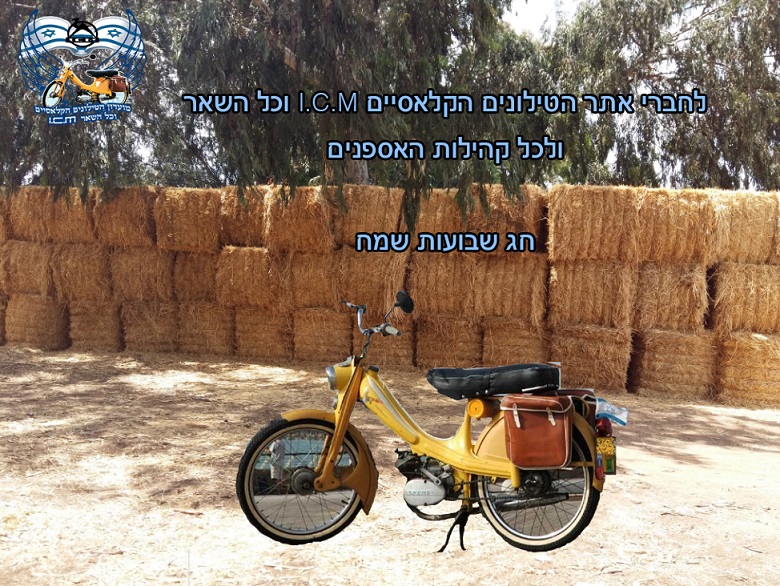 חג שבועות 2016 - עותק.jpg